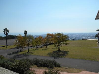 ワイナリーのある丘の上からの眺め