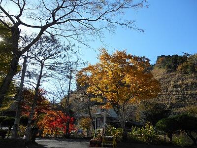 空も綺麗です。
