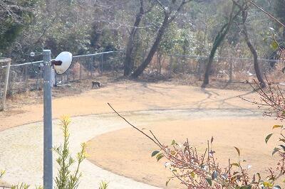 二階から見た様子です。