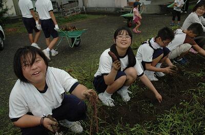 おいも掘りをしました。