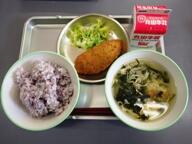 ゆかりごはん　　鮭チーズフライ　　ゆでキャベツ　　かき玉汁