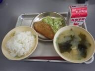 ごはん　　鮭磯の香チーズフライ　　ゆでキャベツ　　豆腐のみそ汁