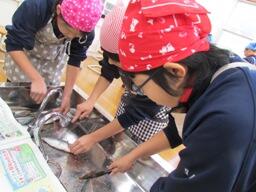 子どもたちがさばいている様子