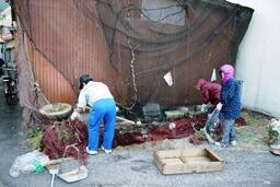 島内清掃 島内清掃