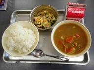 ごはん ポークカレー れんこんサラダ ごはん ポークカレー れんこんサラダ