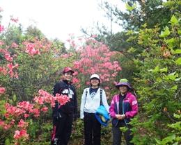 きれいなツツジのそばで記念写真