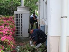 敷地内の除草作業