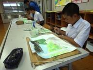 風景画の色塗り