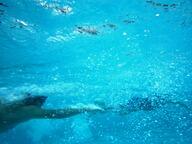 泳いでいる生徒