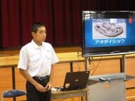 島にいる蛇を紹介する