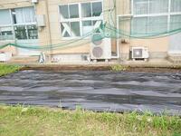 さつまいもの苗植え前の畑