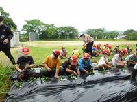 さつまいもの苗植え③