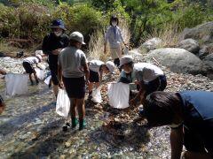 網でもすくって