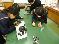 順番に観察しています。