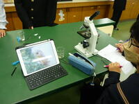 タブレットPCで撮影したものをもとにスケッチです。