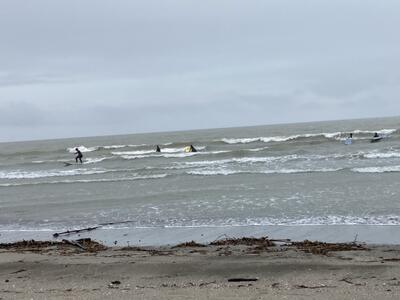 左端に注目！　立ってますよ！