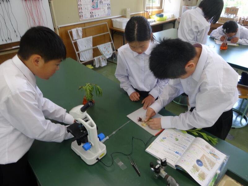 生徒の観察の様子１