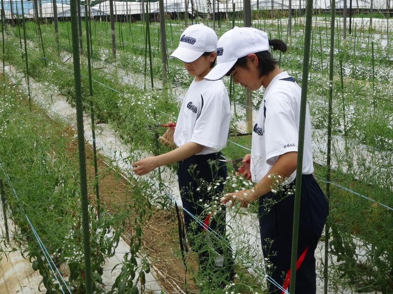 農業体験学習　２