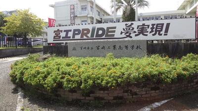 抜き取り前の花壇の様子