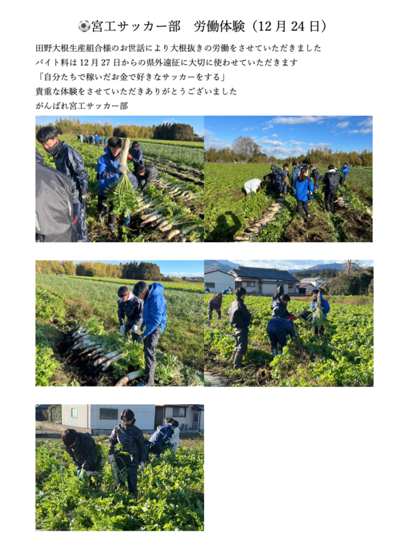 労働体験を行いました