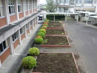 清掃後の都農高校、校内。