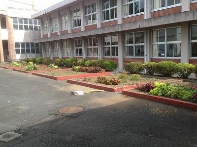 奉仕作業の様子