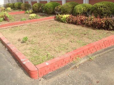 奉仕作業の様子