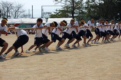 綱引きの様子