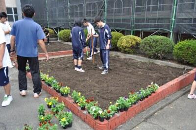 都農高校31HRの花壇 都農高校31HRの花壇