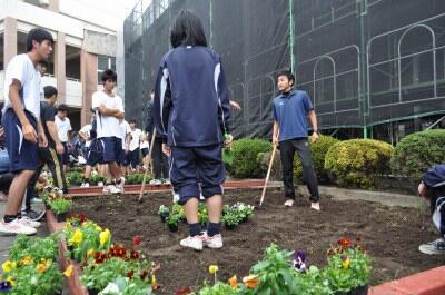 花壇整備 花壇整備
