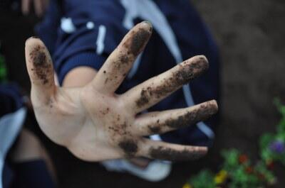 生徒の手 生徒の手