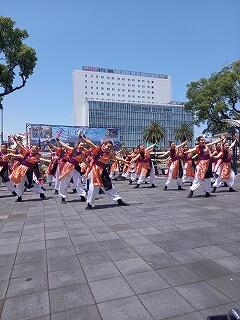 えれこっちゃ⑤