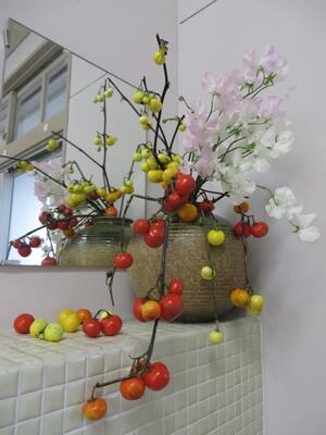 スイートピー スイートピー