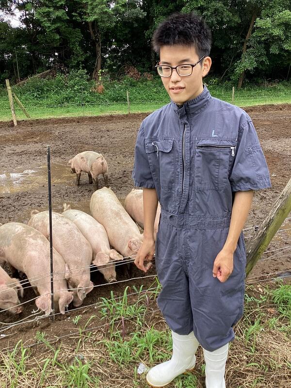 豚さんと一緒に