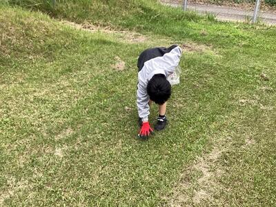 寄宿舎の中庭（道路沿い）にはペットボトルのラベルが落ちていました