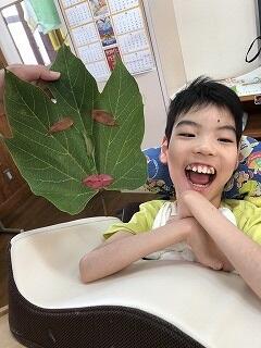 大きなはっぱでお面を作ったよ