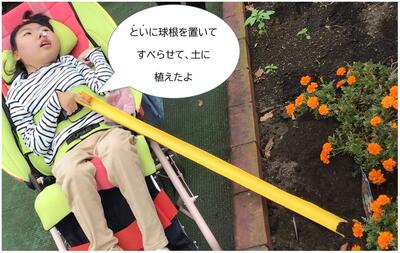 といに球根を置いて すべらせて、土に 植えたよ