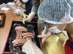 明太子作り体験