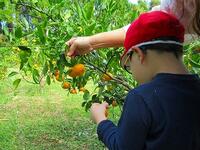 「みかん好き！」