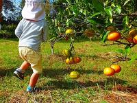 どれがあまいかな～