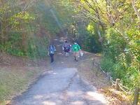 たくさん歩いて探したよ！