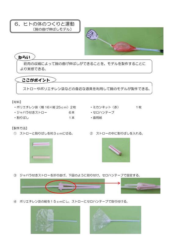 腕の曲げ伸ばしモデル