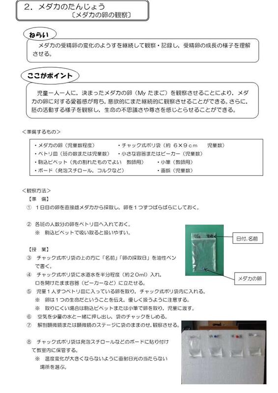 一人一人が自分のメダカの卵を観察する