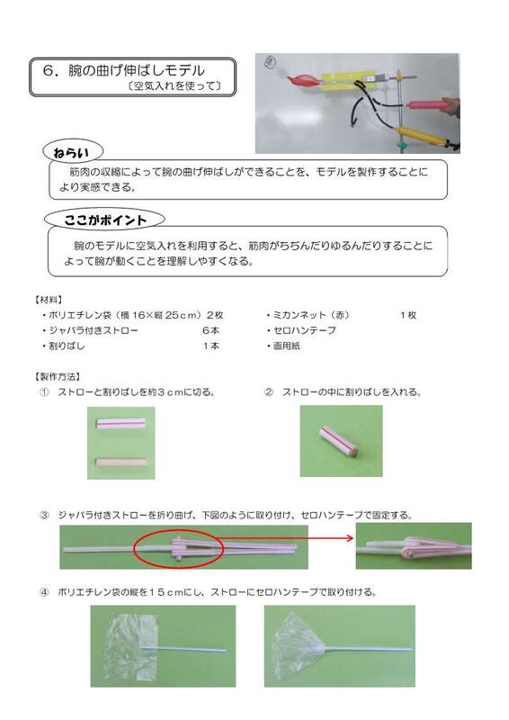 空気入れを使った腕の曲げ伸ばしモデル