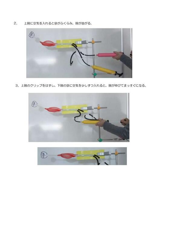 空気入れを使った腕の曲げ伸ばしモデル