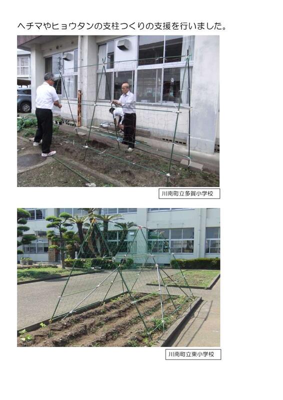 ヒョウタンやヘチマの支柱立てを支援
