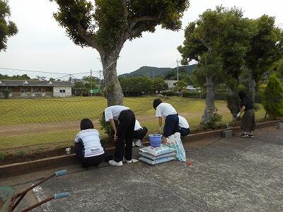 苗を植えています。