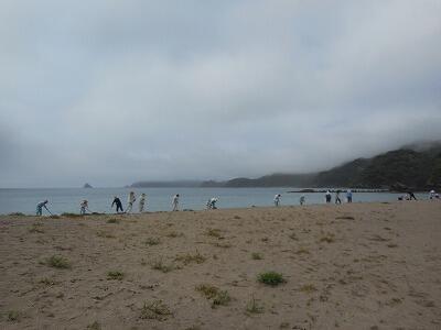 流木を集めています。