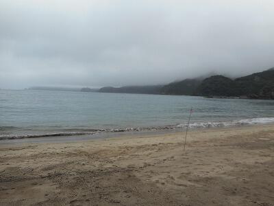 きれいになりました！