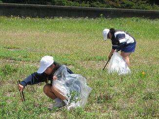 ありました。ごみ、ごみ…